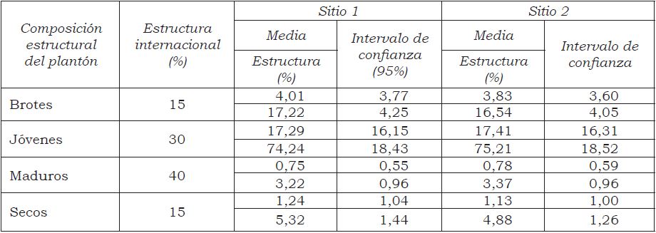 Composición estructural del plantón promedio de B. vulgaris y su relación con la estructura internacional vigente
