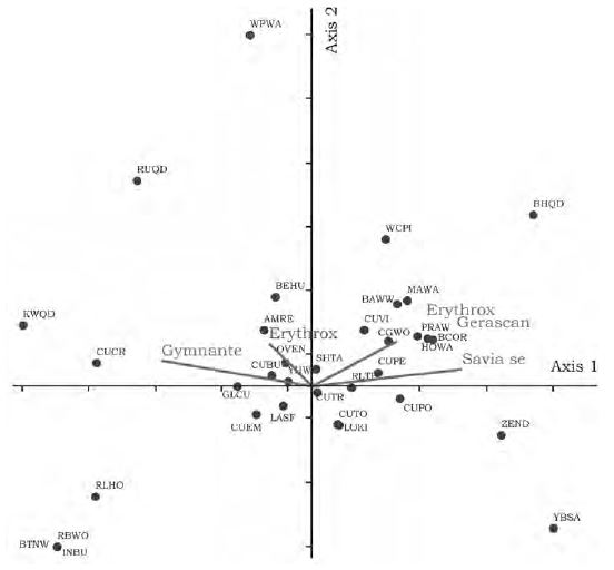 Diagrama de ordenación de análisis de correspondencia realizado con especies de aves y vegetales numéricamente dominantes durante el período de residencia invernal (en Anexo, códigos de las especies).