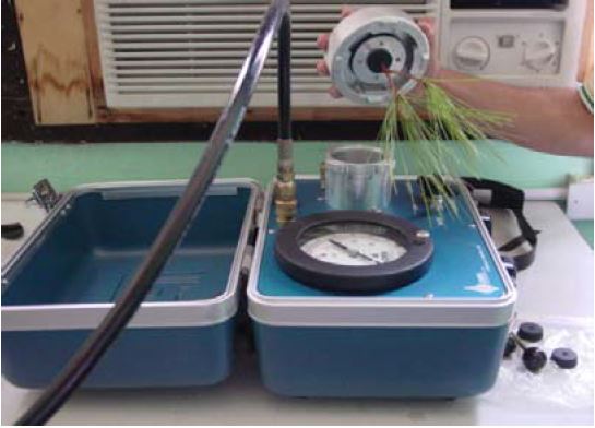 Cámara de Scholander para medidas de potencial hídrico en las plantas.