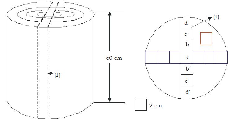 Esquema que caracteriza la obtención de los cuerpos de pruebas para los ensayos físico-mecánicos.