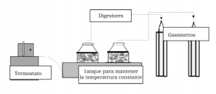 Fermentador Batch de 2 L.