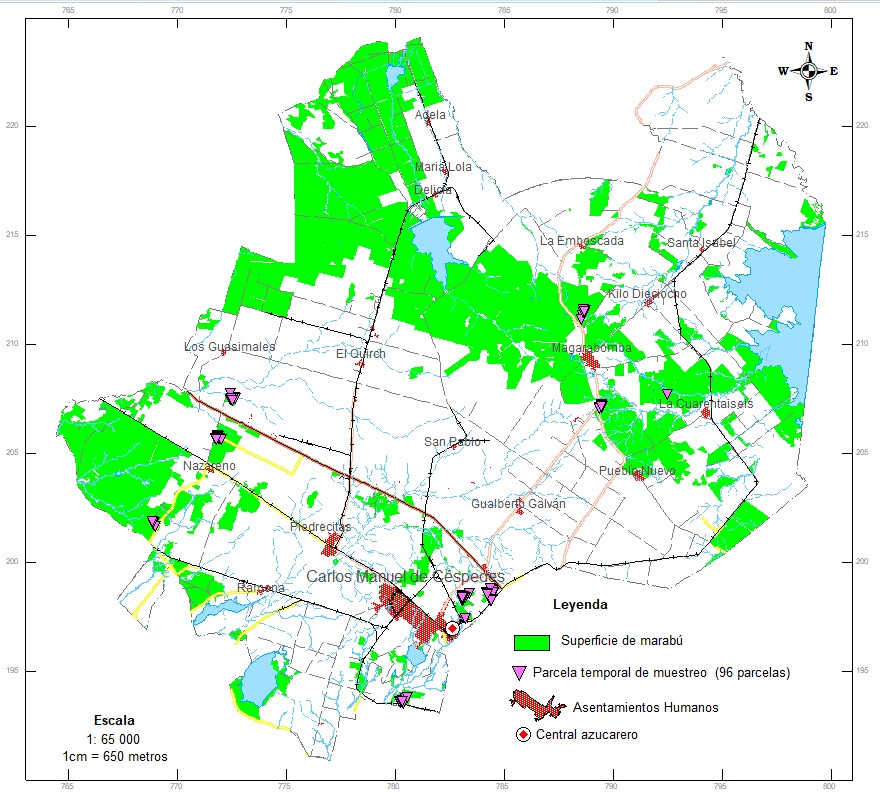 Superficie efectiva cubierta de marabú.
