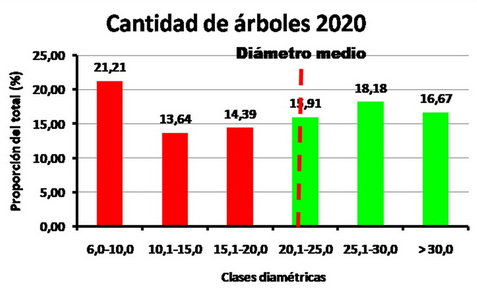 Distribución por clases diamétricas 2020